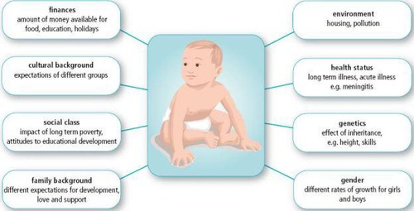 <p>genetics, sex, temperament, environment, physical activity, nutrition</p>