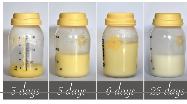 <p>Similar to breast milk in protein and lactose, but contains a lot more fat</p><ul><li><p>forms in late pregnancy</p></li><li><p>is the sole nutrition source for first 1 to 3 days after birth</p></li><li><p>Thick consistency and a cloudy yellow color</p></li><li><p>Contains IgA to protect baby from gastroenteritis</p></li><li><p><span style="background-color: transparent;"><span>converting to colostrum to regular breast milk is a gradual process</span></span></p><ul><li><p><span style="background-color: transparent;"><span>the more the child consumes, the more the mother produces</span></span></p></li></ul></li><li><p><span style="background-color: transparent;"><span>as more breast milk is produced, it becomes more diluted</span></span></p></li></ul><p></p>