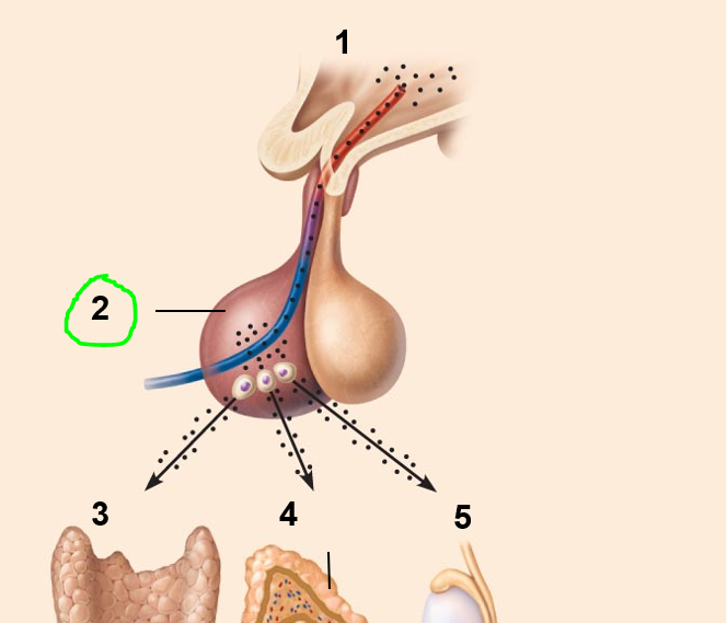 <p>name this part</p>