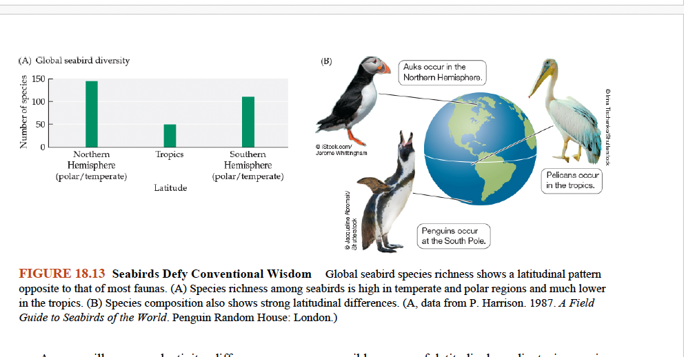 <p>Why do seabirds show highest species richness at temperate and polar latitudes, contrary to most faunas?</p>