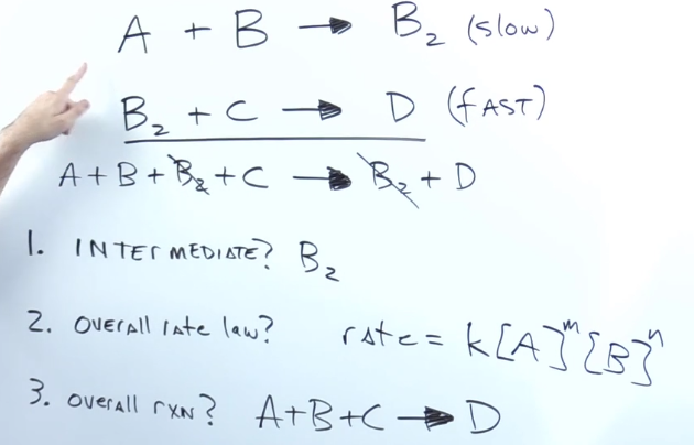 <ul><li><p>substance produced in the middle of the reaction that get used up before the product </p></li><li><p>They get cancelled out along the way </p></li></ul><p></p>