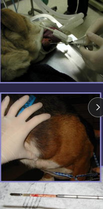 <p><span>Lymph Node Surgical Procedures</span></p>