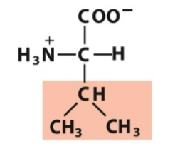 <p>Nonpolar, aliphatic</p>