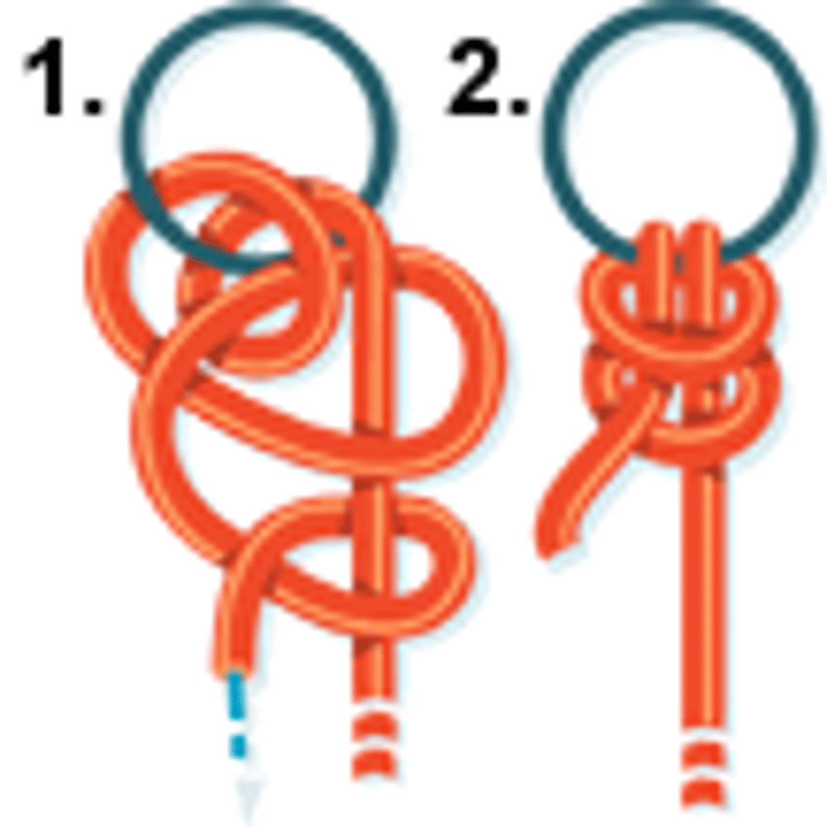 <p>(vt.)使固定</p>