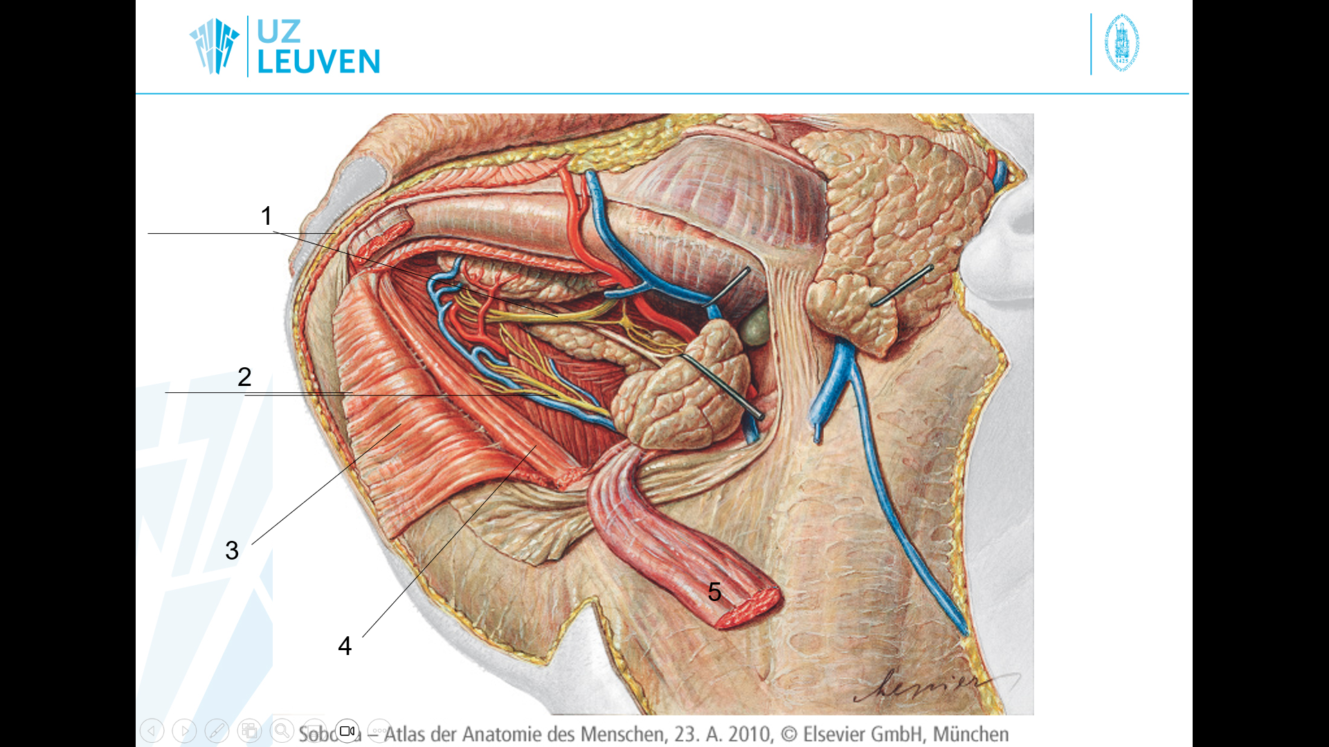 <p>1</p>