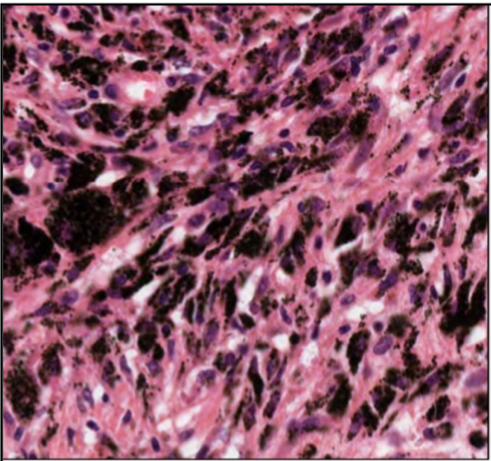 <p><span>What is shown in Figure 16 of the provided material?</span></p>