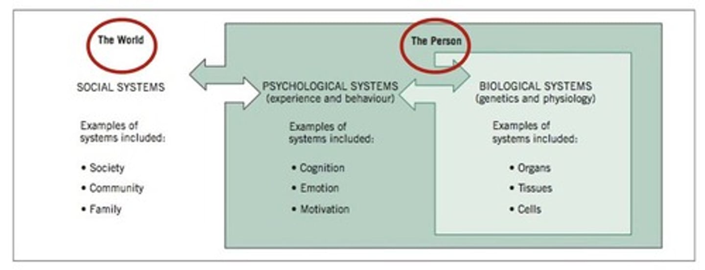 <p>A model that considers biological, psychological, and social factors in understanding health and illness.</p>