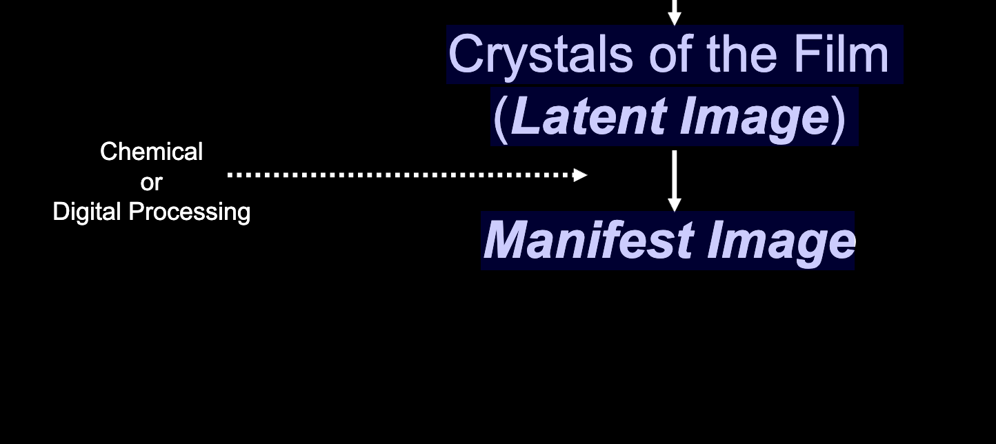 <p><span style="color: rgb(5, 3, 3)"><strong>Chemical or Digital Processing</strong> happens between what 2 processes <em>(Note: the processing is when the invisible image turns visible)</em></span></p>