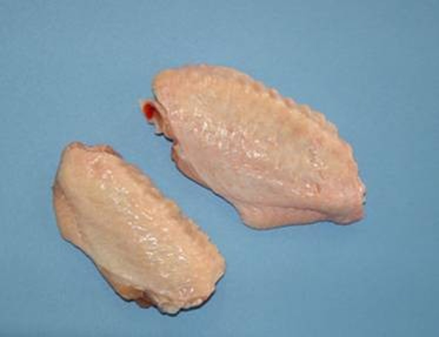 <p>Wing portion</p>