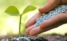 <p>N. (phân bón)</p><ul><li><p><strong>Farmers use _____to improve soil fertility and boost crop production.</strong><br>→ <em>Nông dân sử dụng </em><strong><em>phân bón</em></strong><em> để cải thiện độ màu mỡ của đất và tăng sản lượng cây trồng.</em></p></li><li><p><strong>Organic _____are better for the environment than chemical ones.</strong><br>→ <strong><em>Phân bón hữu cơ</em></strong><em> tốt cho môi trường hơn so với phân bón hóa học.</em></p></li></ul><p></p>