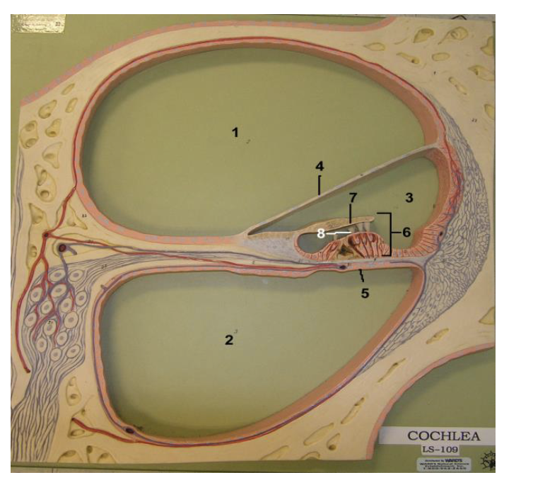 <p>Label figure 2.</p>