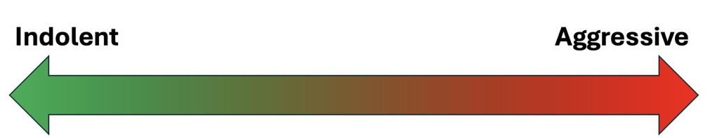 <p>most indolent aggressive lymphoma</p>