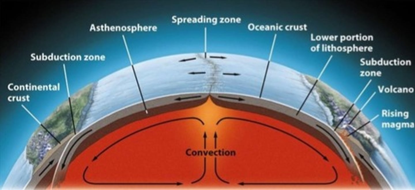 <p>Circular movement of fluids caused by heat rising and cool material sinking.</p>