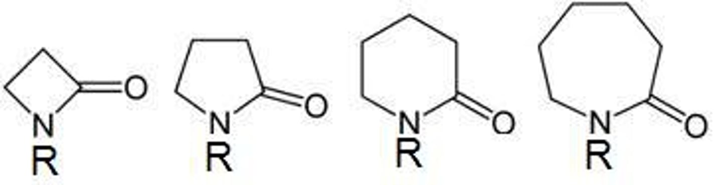 <p>cyclic amide</p><p>NON electrolyte</p><p>O=C-N must be in ring</p>