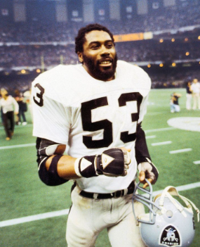 <p>Rod Martin</p>