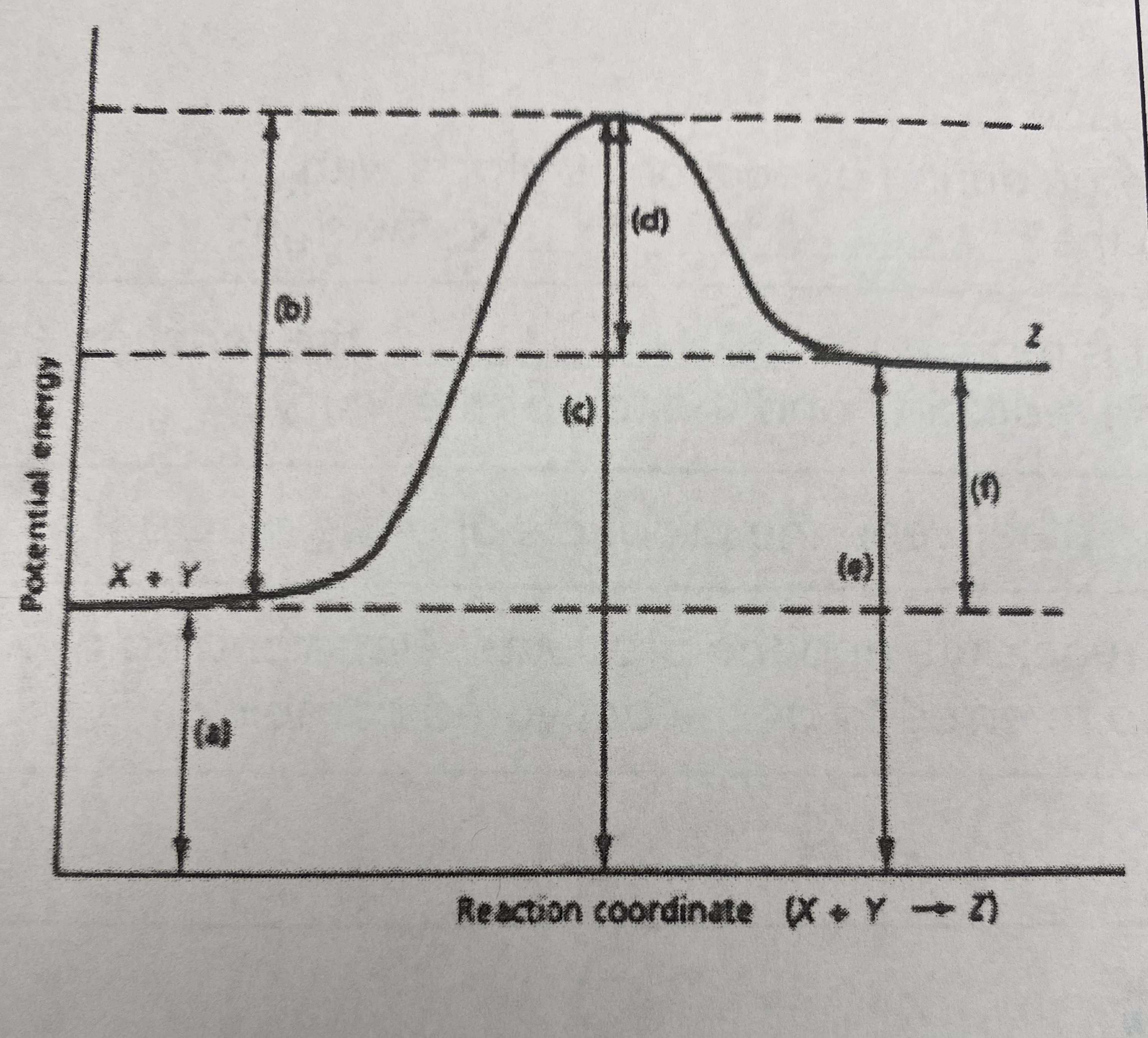 <p>which letter indicates the potential energy of the <u>reactants</u>?</p>