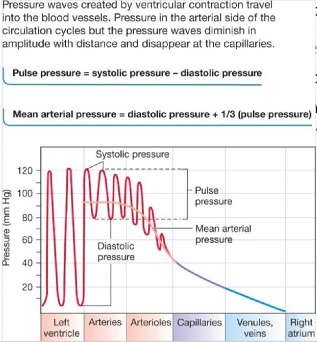 <p>MAP is the driving pressure for blood flow, calculated as diastolic pressure + 1/3 (systolic pressure - diastolic pressure).</p>