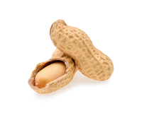 <p>Peanut </p>