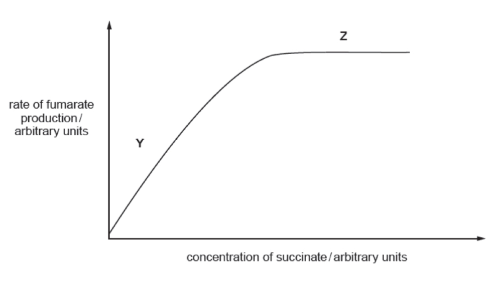 <p>State the factor that is limiting the rate of reaction and give evidence from graph to support your answer</p>