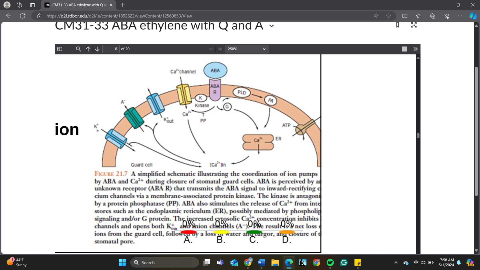 <p>In a generalized signaling pathway, K channels in this figure are _____.</p><p>A. ligands<br>B. receptors<br>C. transcription factors<br>D. effectors</p>