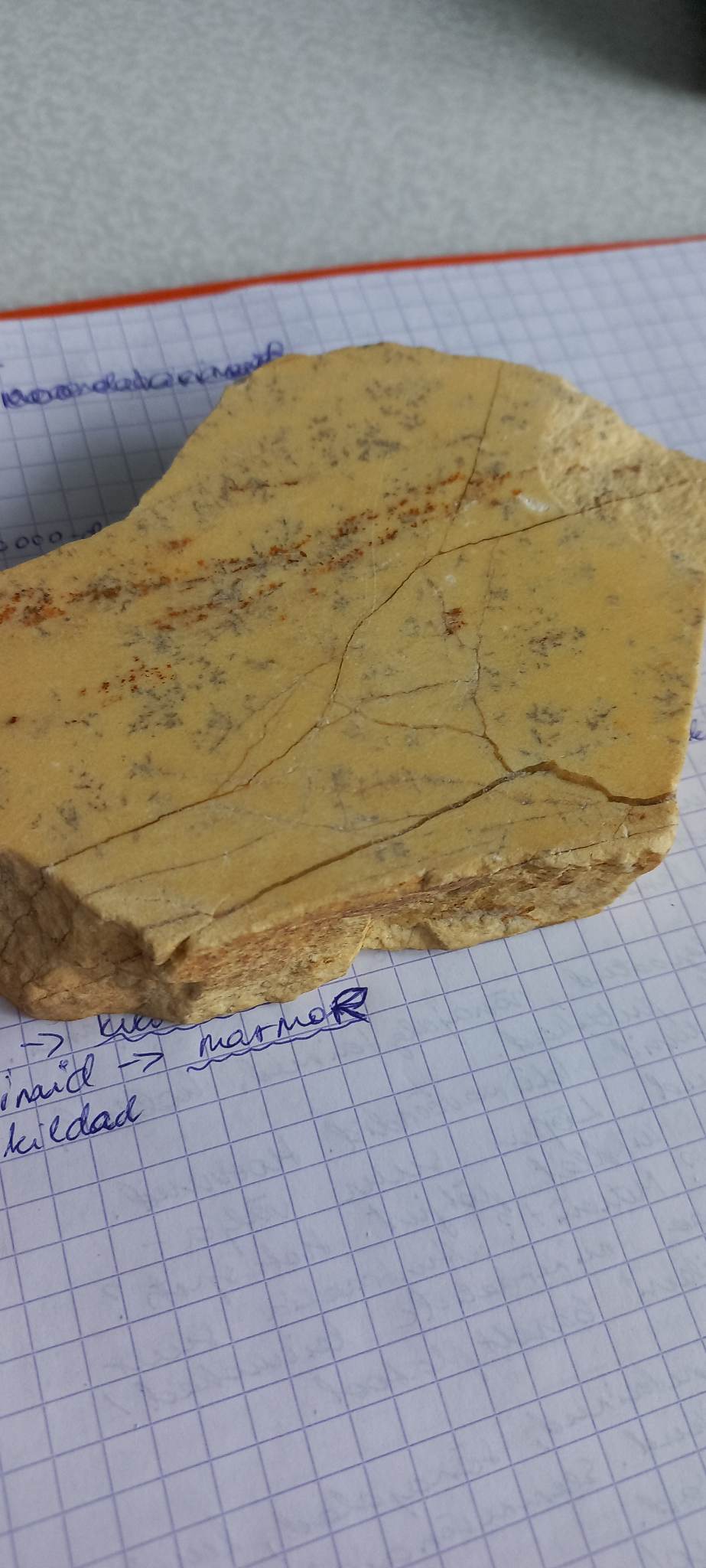 knowt flashcard image