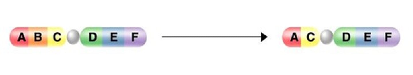 <p>large segment of DNA is lost from a chromosome</p>