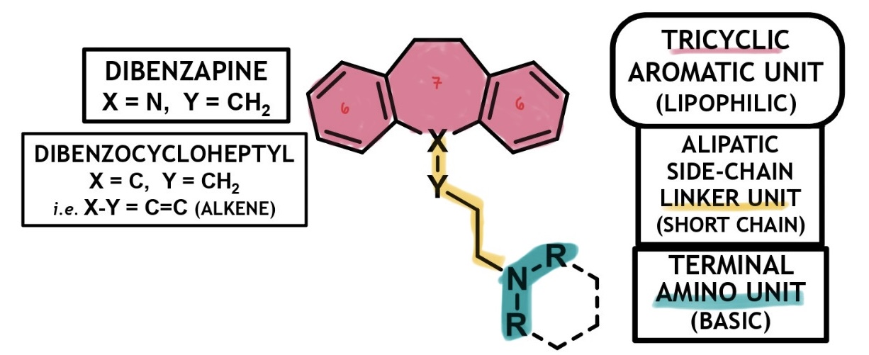 <ul><li><p>func. as <em>non</em>-selective norepinephrine (NE) and serotonin (5-HT) reuptake inhibitors (NSRIs) or <em>selective</em> NE reuptake inhibitors (SNRIs)</p></li><li><p>have a lipophilic ‘6-7-6’ tricyclic system and must conform to this chemical template</p><ul><li><p>tricyclic aromatic ring unit (lipophilic)</p></li><li><p>aliphatic side chain linker unit </p><ul><li><p>mostly fatty 3C</p></li></ul></li><li><p>terminal amino unit (basic)</p><ul><li><p>mostly ionisable alkyl 2* or 3* amine</p></li></ul></li></ul></li></ul><p></p>