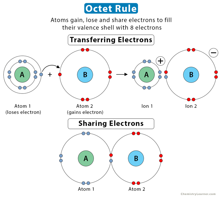 <ul><li><p>A rule predicting how atoms form chemical bonds to achieve eight electrons in their outer shell.</p></li><li><p>Hydrogen is an exception to this rule since it only needs two valence electrons to have a full outer shell.</p><p></p></li></ul><p></p>