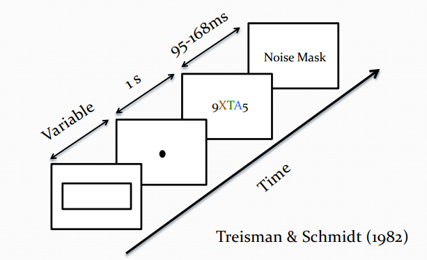 <ul><li><p>A prediction of FIT is that if attention is inhibited, features from different objects will be incorrectly bound together.</p></li><li><p>Treisman &amp; Schmidt (1982) showed that such illusory conjunctions occur</p></li><li><p>They presented character strings very briefly (95-168 ms) followed by noise mask.</p></li><li><p>The primary task was to report the two numbers.</p></li><li><p>Then O’s were asked to report coloured letters.</p></li><li><p>O’s often associated the wrong colour with the wrong letter</p></li><li><p>Such incorrect bindings are known as illusory conjunctions</p></li></ul><p></p>