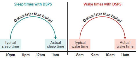 <ul><li><p>Instead of sleeping from 10pm to 8am, a person with DSPS may sleep from 1am to 11am</p></li></ul><p></p>