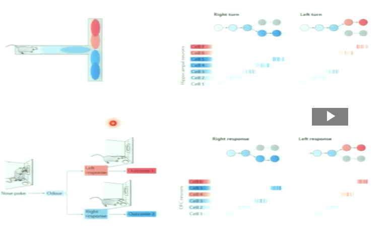 <p><span><span>What is the key idea of the slide?</span></span></p>
