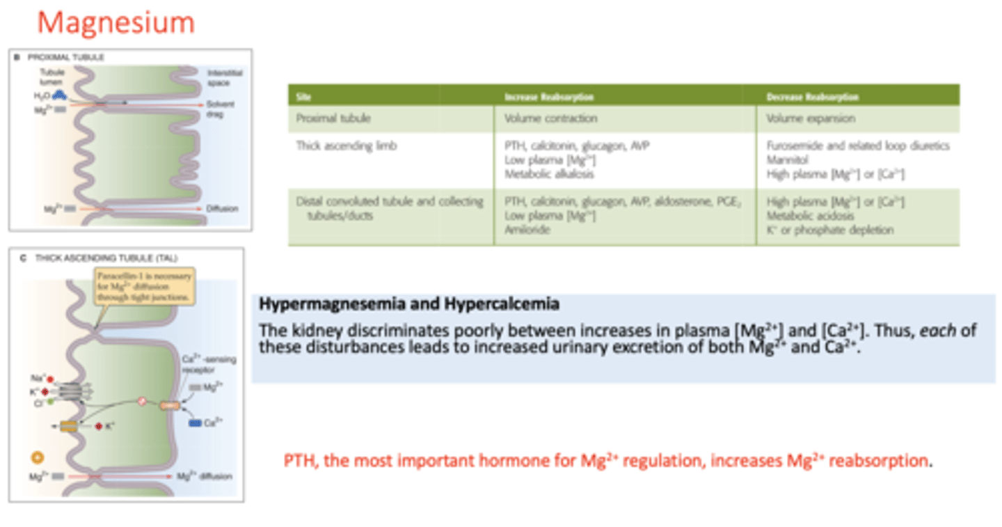 <p>Hypermagnesemia; Hypercalcemia</p>