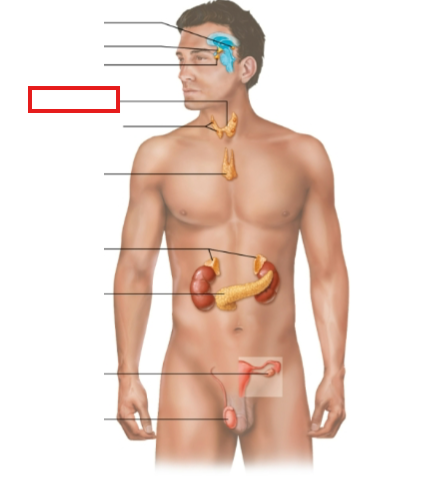 <p>What structure is highlighted?</p>