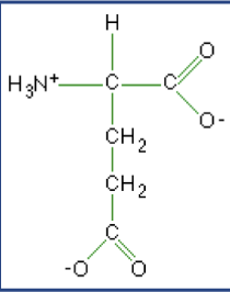 <p>What macromolecule is this?</p>