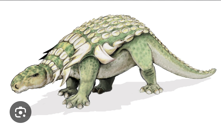 <p>Nodosaurids </p>