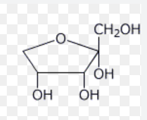 <p>what is this cyclic structures name? </p>