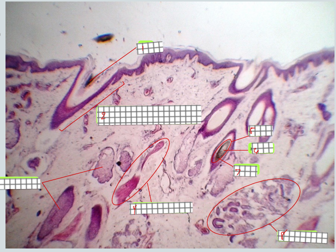 <p>specimen:<br>label</p>