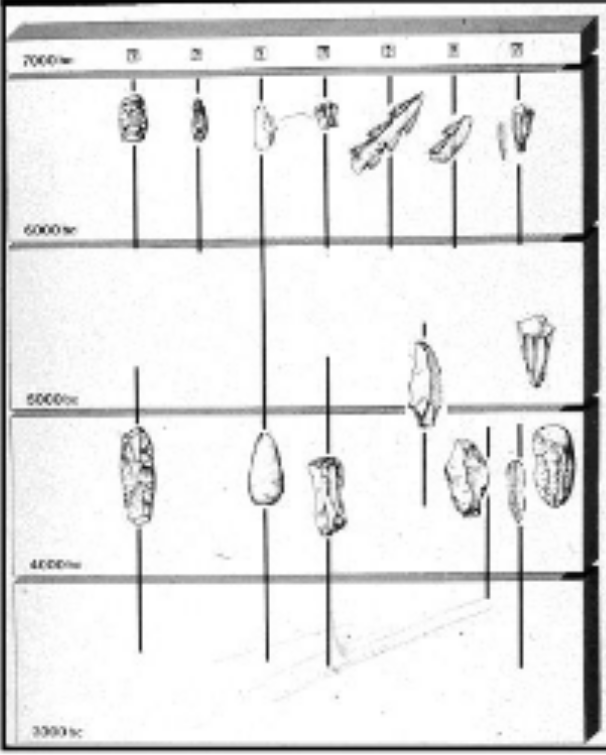<p>How did stone industries change between the early and late Mesolithic?</p>