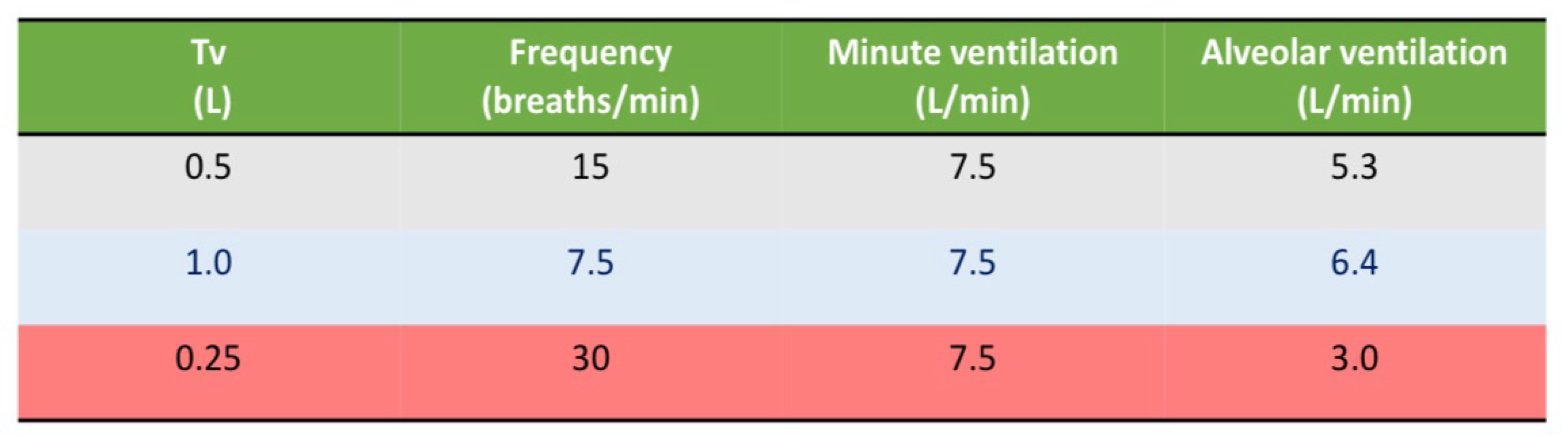 <ul><li><p>Approximated at 0.5L per breath and 15 breaths/min </p></li><li><p>Minute ventilation = tidal volume x breathing frequency </p><ul><li><p>0.5 × 15 = 7.5L/min</p></li></ul></li><li><p>Alveolar ventilation = (tidal volume - dead space volume) x breathing frequency.</p></li></ul><p></p>