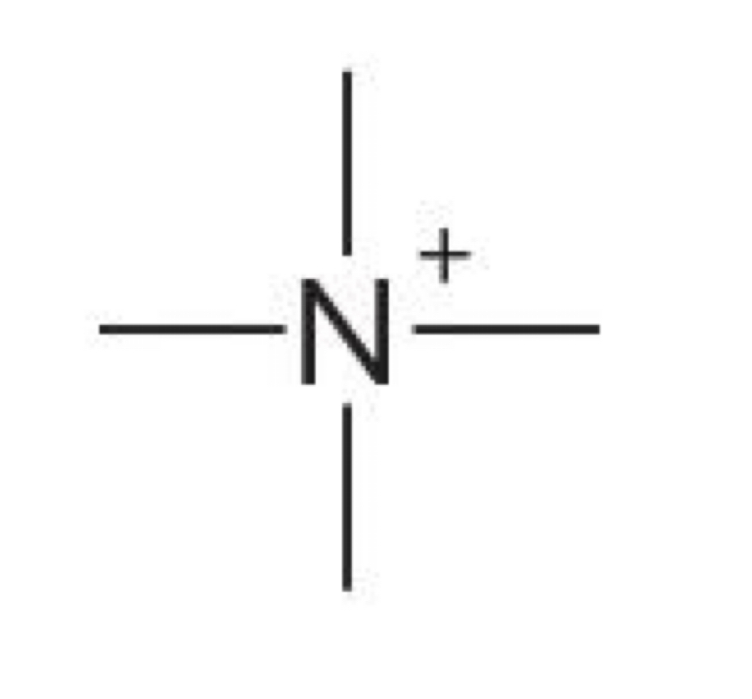 <p>Nitrogen with 4 bonds </p>