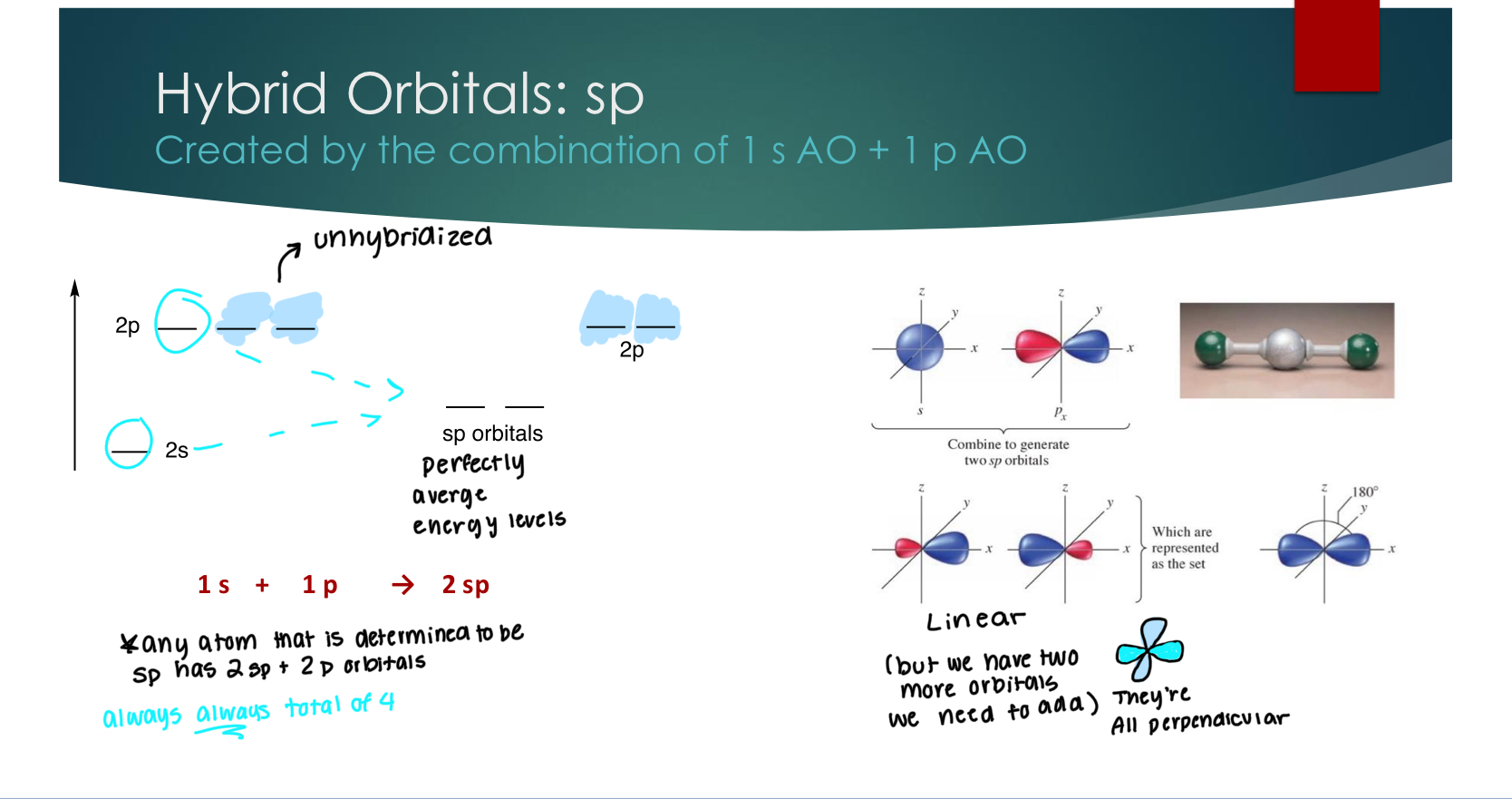 <p>Created by the combination of 1 s AO + 1 p AO</p><p>all orbitals are perpendicular. </p>