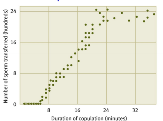 <p>Positive (sex less than 7 mins = no sperm transfer)</p>