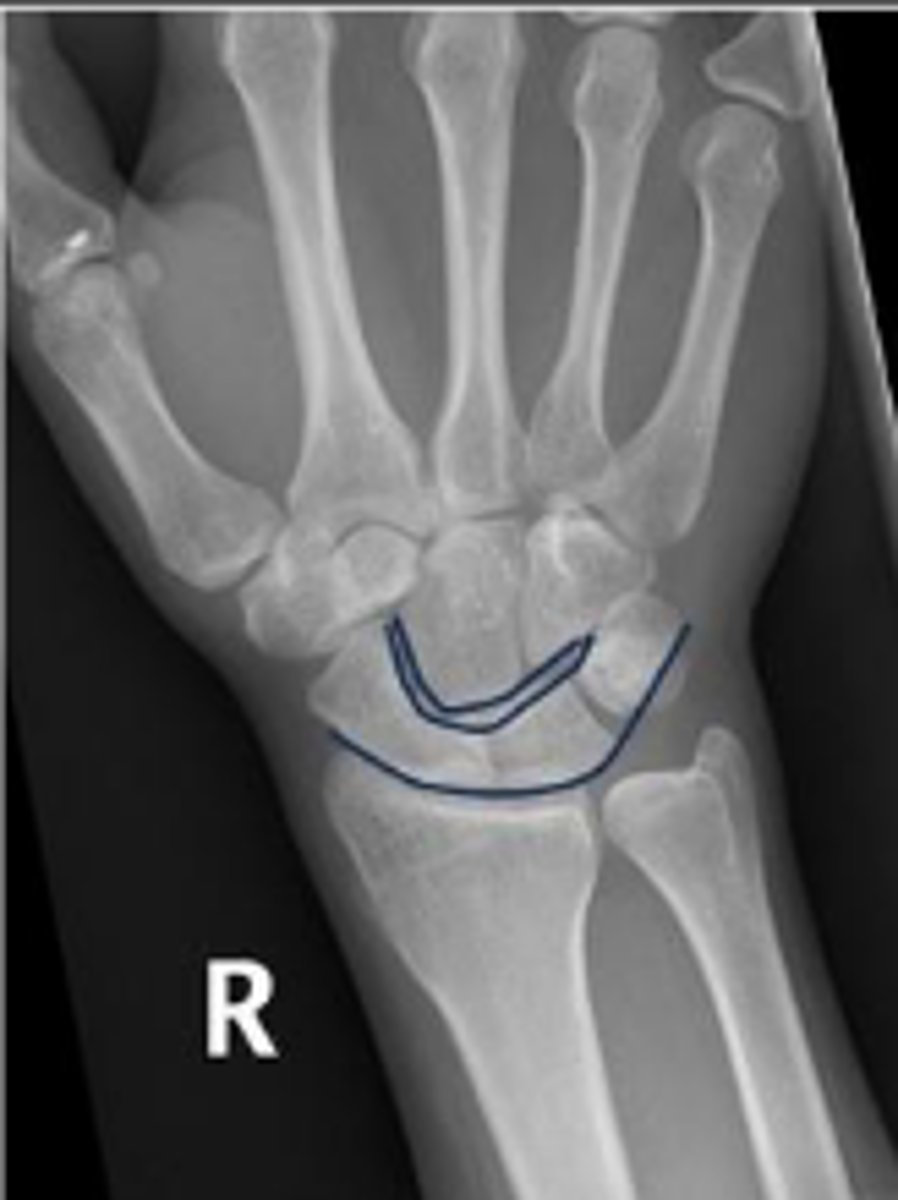 <p>What is the name of the assessment</p>