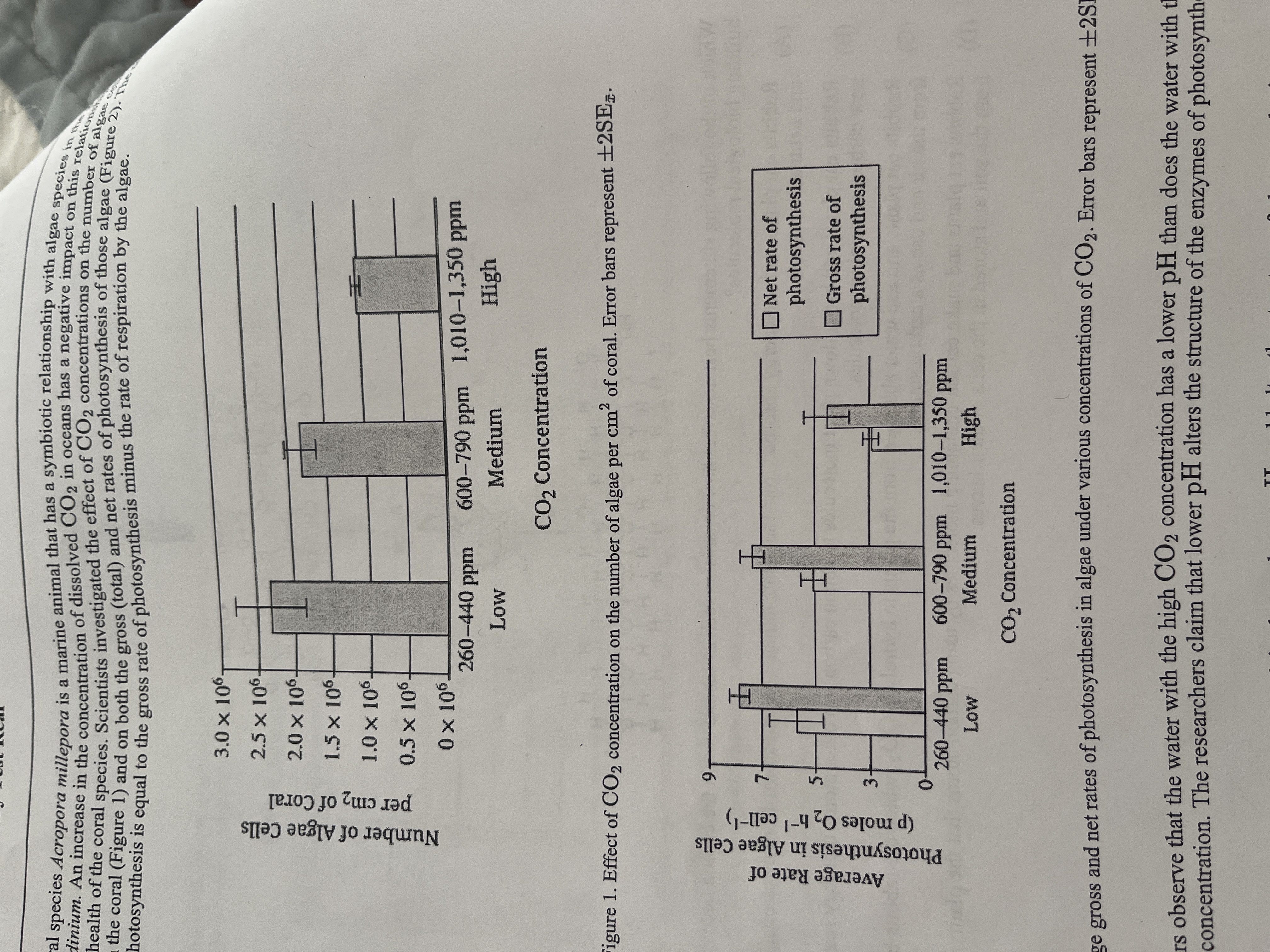 <p>Researchers observe that the water with the high CO2 concentration. The researchers claim that lower pH alters the structure of the enzymes of the photosynhesis.</p><p>Which of the following most likely explains how a lower pH could alter the structure of photosynthetic enzymes?</p>