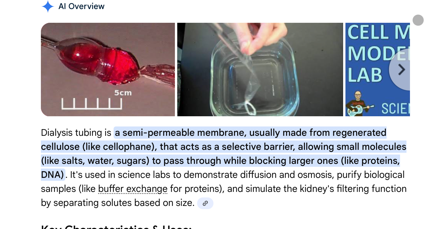 <p>Partially permeable membrane like tube</p><p></p>