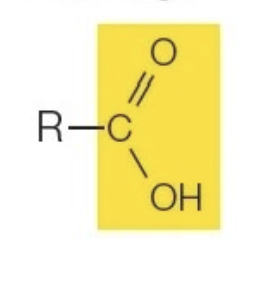 <p>R—COOH</p>