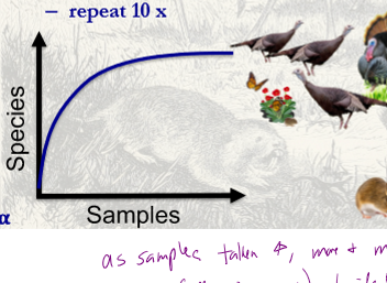 <p>as samples taken increases, more and more species will be idenitifed until max number of species (all species present) to identift is reached</p>