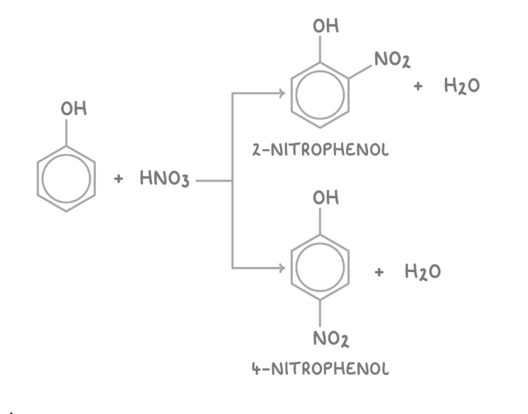 <ul><li><p>Direct nitration of phenol at room temerature yields two main isomers, 2-nitrophenol and 4-nitrophenol, at the 2- and 4- positions respectively.</p></li></ul><p></p>