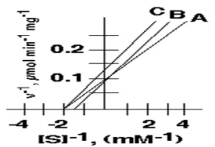 <p>In the following inhibition plot, these two could represent the &quot;Uncompetitive inhibition &quot;</p><p></p><p>all of them</p><p>B and C</p><p>A and B</p><p>none of them represent it</p><p>A and C</p>