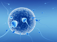 The ability to produce fertile offspring.